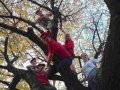 14102504_Podzimky_Prosec