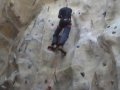 1454835_560307084043363_555088597_n