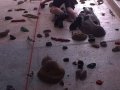 1004974_608857192521685_207254101_n